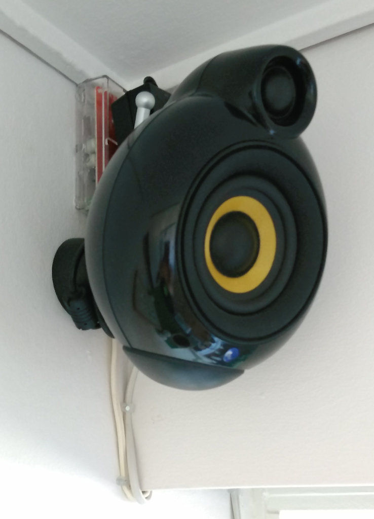 amp board behind speaker