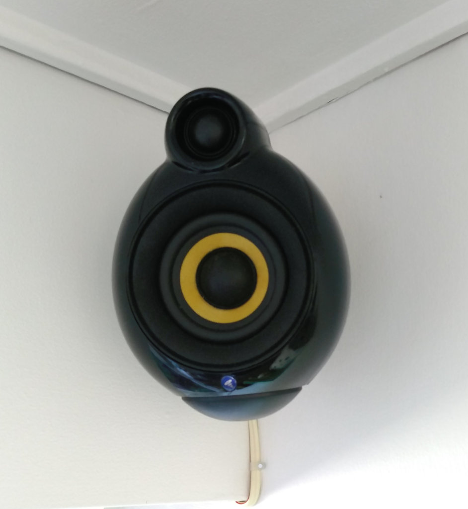 other speaker